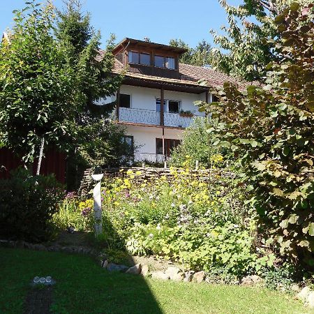 Ferienwohnung Nationalparkblick Spiegelau Eksteriør bilde